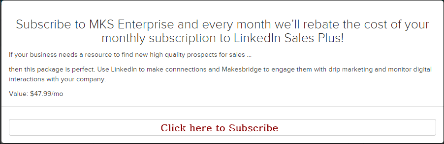 Makesbridge Freedom Offer- LinkedIn Premium